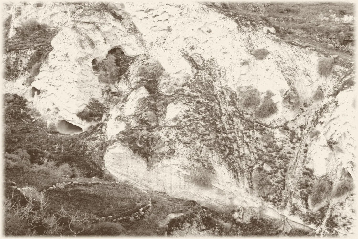 The Potamos vineyard at Vourvoulos